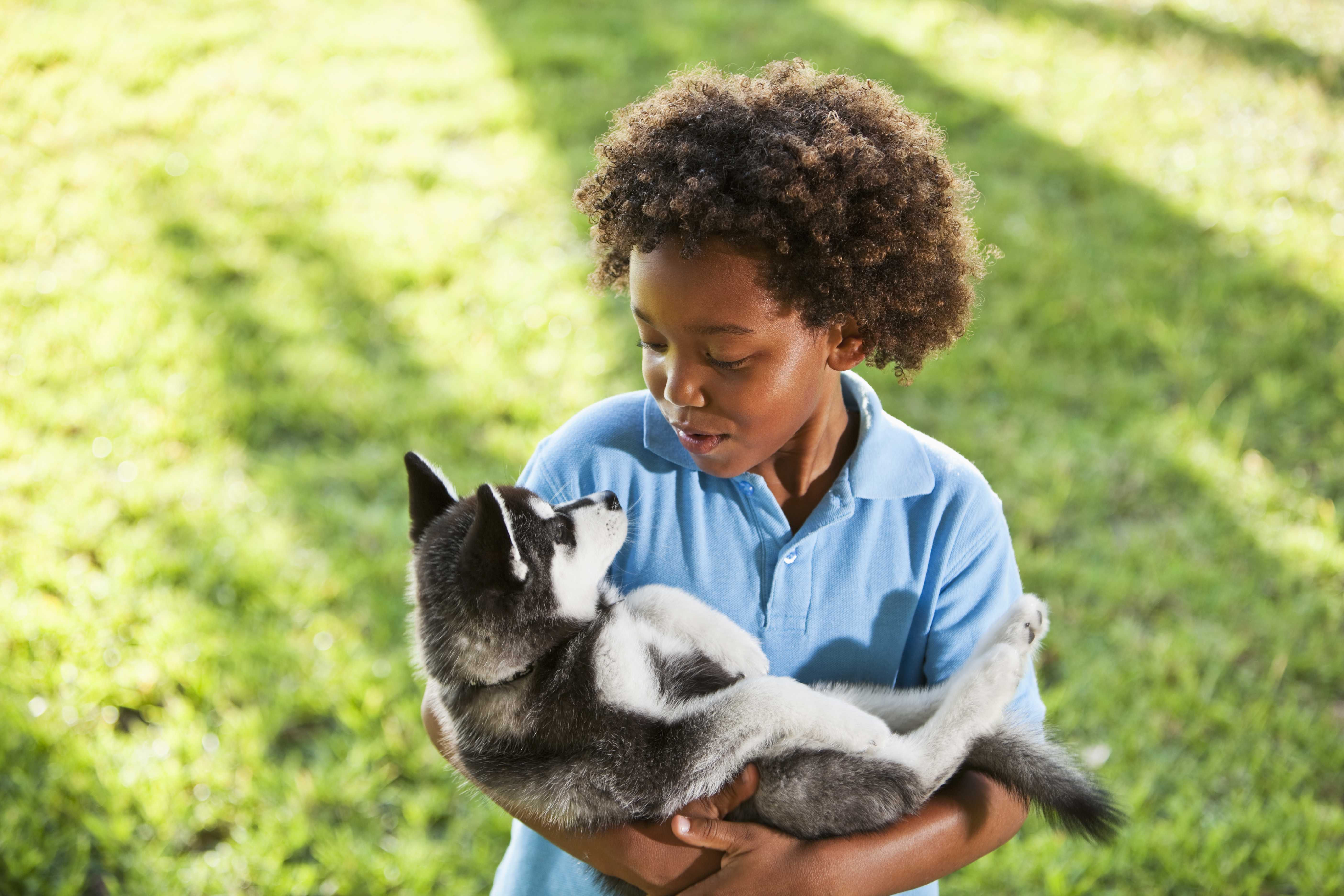 Child with animal. Children learning about kindness and animal treatment.